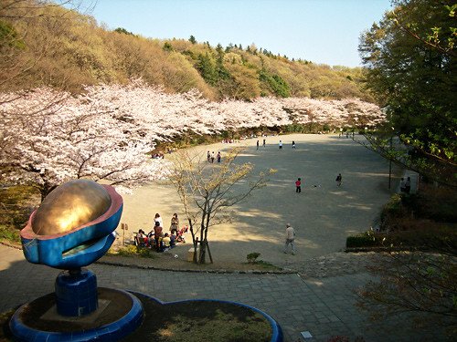 🏞️ 세리가야 공원 이미지 6